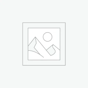 Home Printed Maroon Tshirt